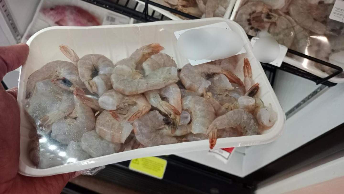 Recomienda Gobierno de Sonora medidas para evitar intoxicaciones por mariscos en mal estado